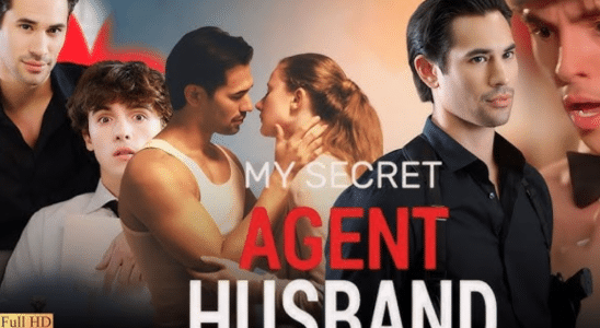 My Secret Agent Husband