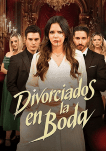 Divorciados en la Boda - Cómo Ver Gratis