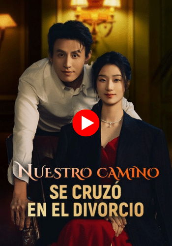 Nuestro camino se cruzó en el divorcio - Mira ahora online
