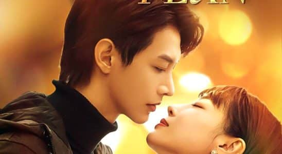 gossip plan 1765222563429