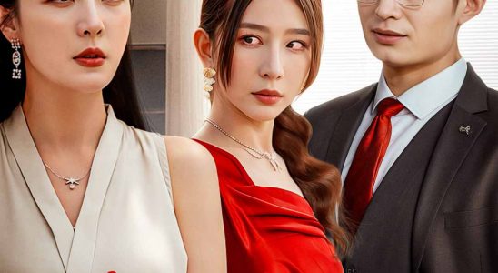 secrets of a perfect husband 1765832524546