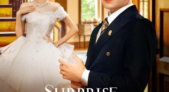 surprise proposal at divorce dinner 1764867811540