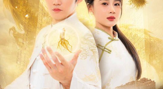 urban dominance 1767128770432