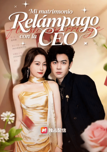 Mi Matrimonio Relámpago con la CEO - Cómo Ver Gratis
