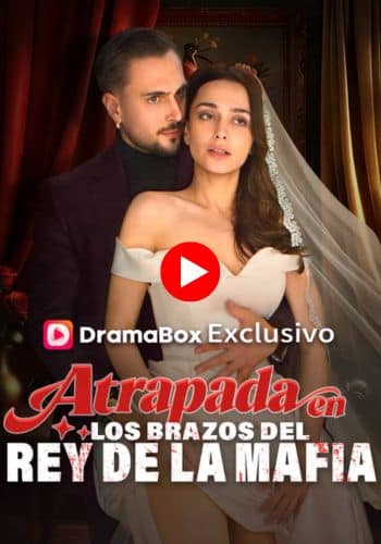 Atrapada en los brazos del rey de la mafia - Mira ahora en línea