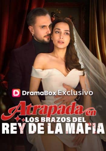Atrapada en los brazos del rey de la mafia - Cómo Ver Gratis