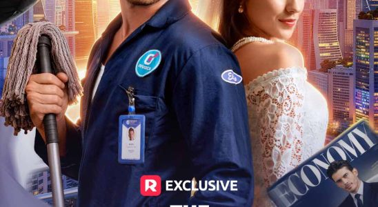 the janitor billionaire his swapped bride 1777380466980