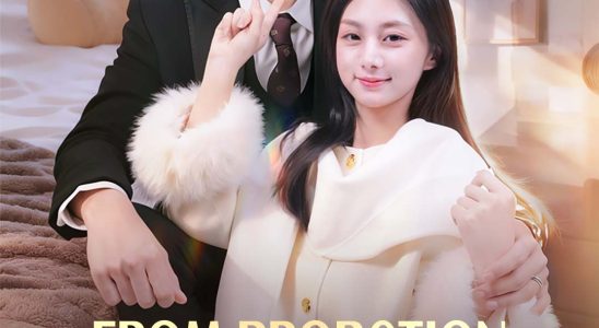 from probation to proposal triplets with the ceo 1777718648162