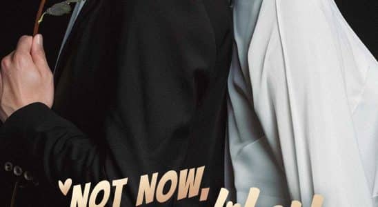 not now wifey 1785320942253
