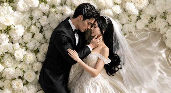 he chose her i married the mafia don 1787245287662