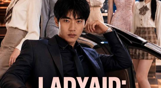 ladyaid from dumped pauper to tycoon 1790595136268